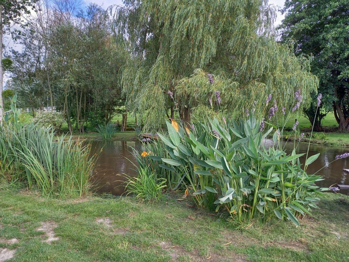 La Gasteboisiere With Swimming Pool And Games Room Le Mesnil-Adelee Exterior photo